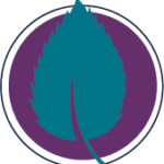 Assessment Icon